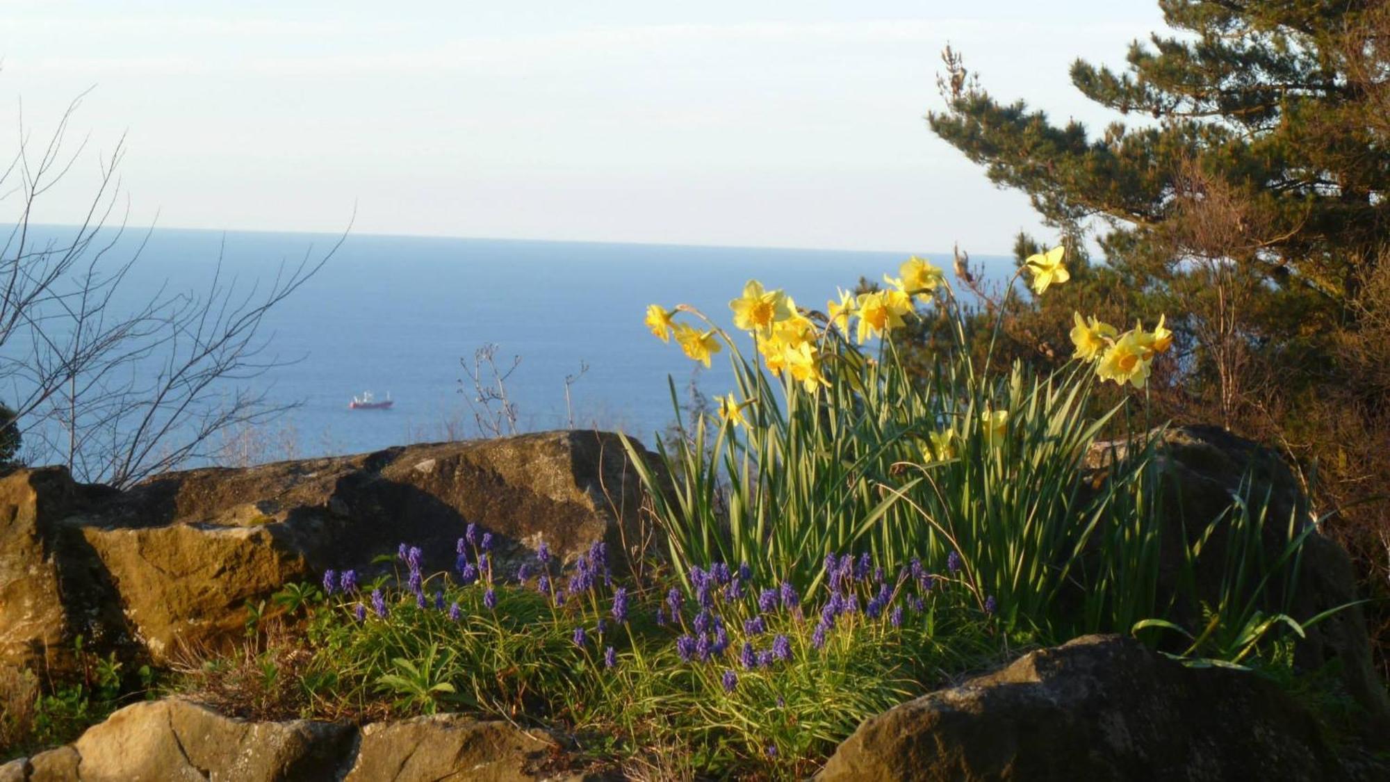 Apartamentos Mar Y Mar Agroturismo San Sebastián Dış mekan fotoğraf